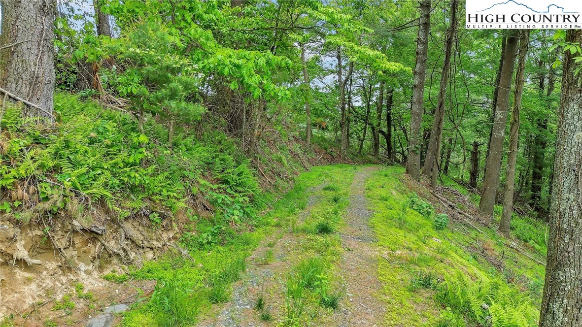Image number 3 for the current listing