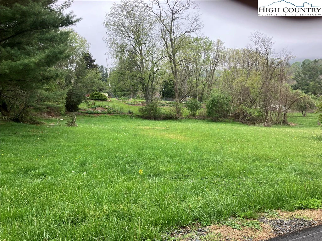 Image number 3 for the current listing
