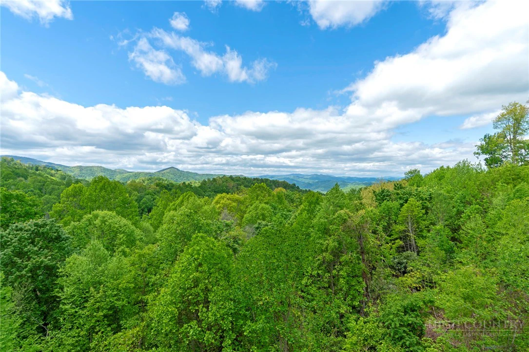 Image number 16 for the current listing
