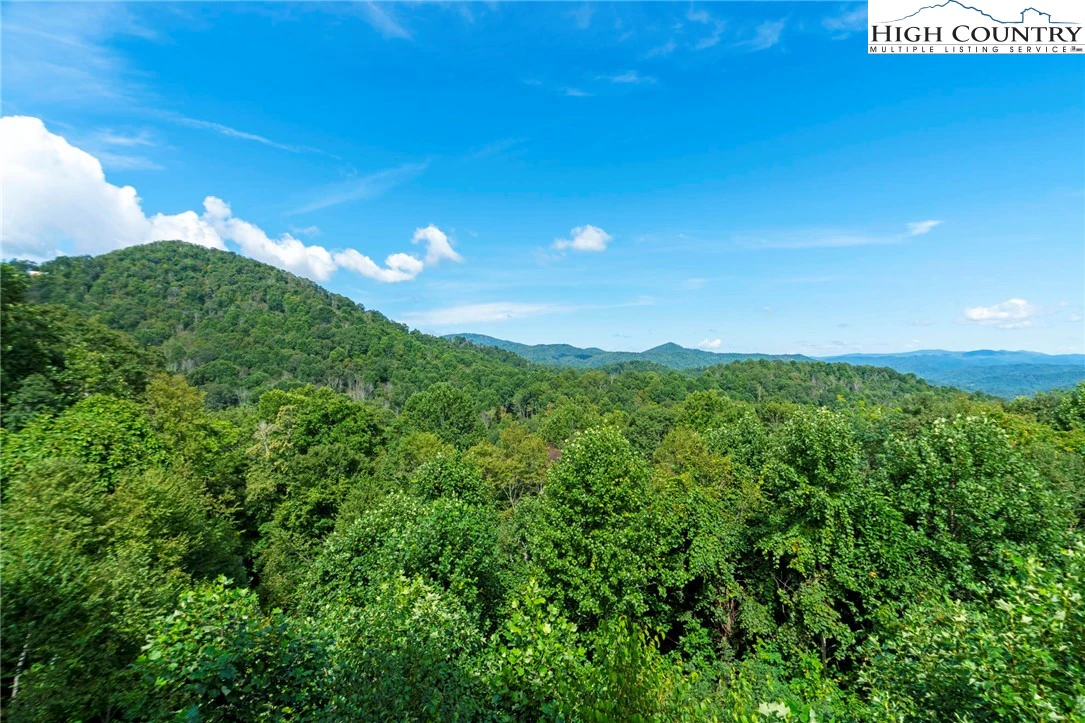 Image number 21 for the current listing