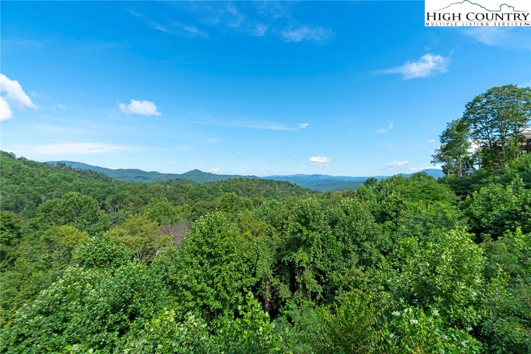 Image number 14 for the current listing