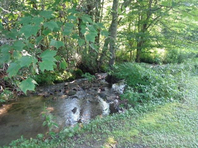 Image number 10 for the current listing