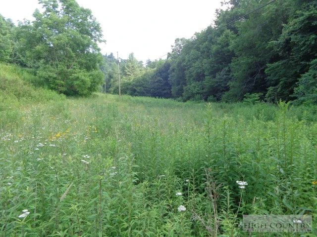 Image number 5 for the current listing