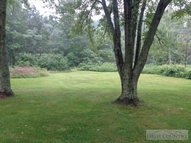 Image number 12 for the current listing