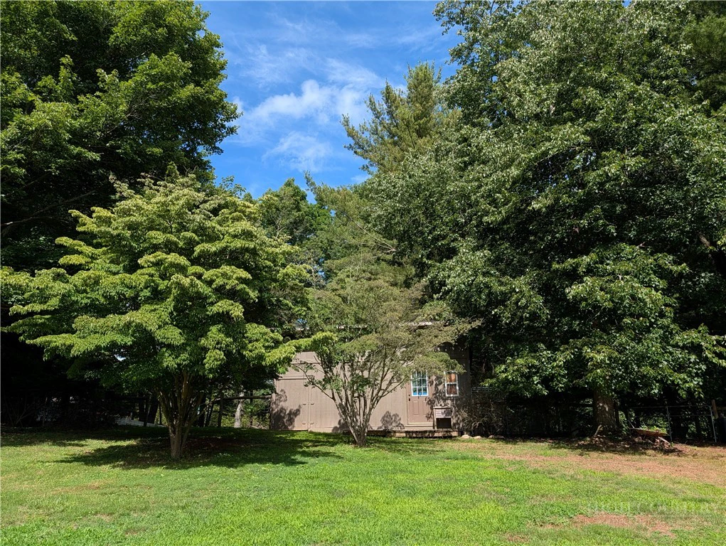 Image number 5 for the current listing