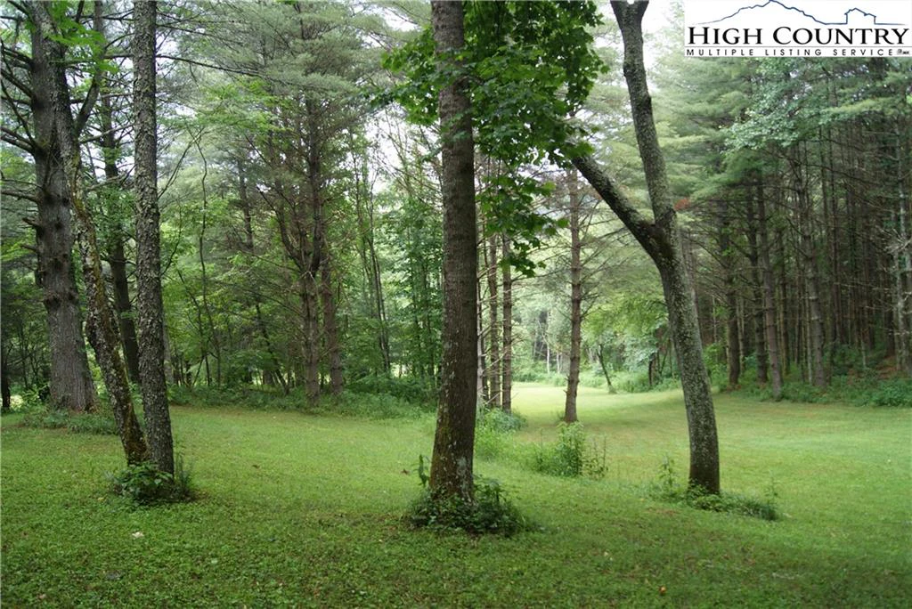 Image number 14 for the current listing
