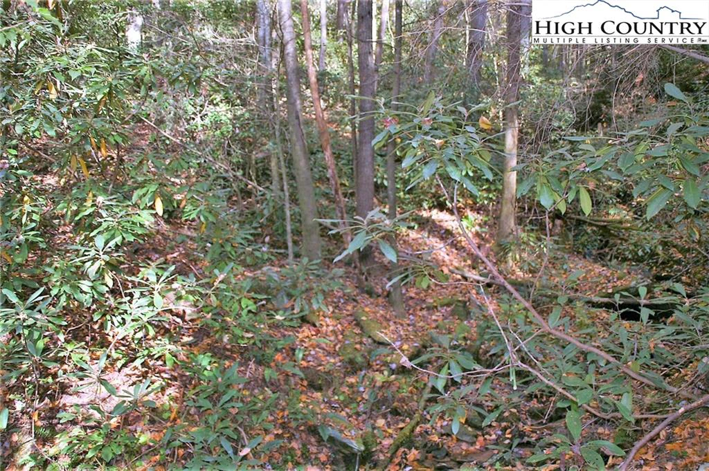 Image number 11 for the current listing