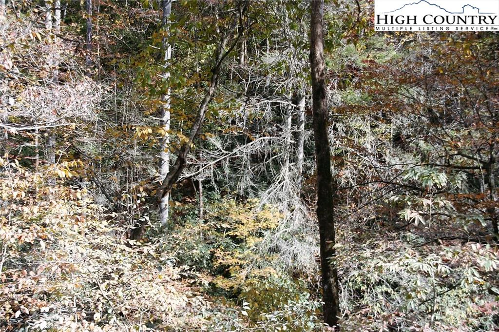 Image number 8 for the current listing