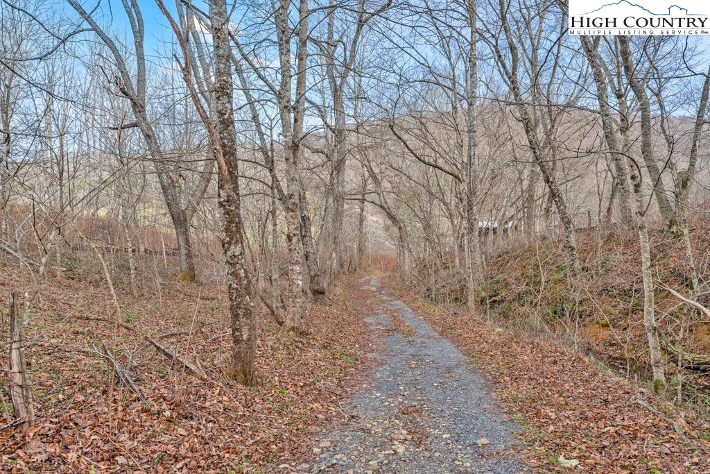 Image number 15 for the current listing