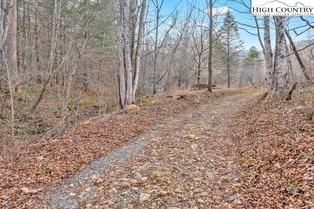 Image number 14 for the current listing