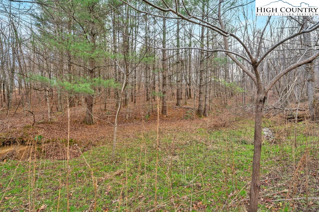 Image number 13 for the current listing
