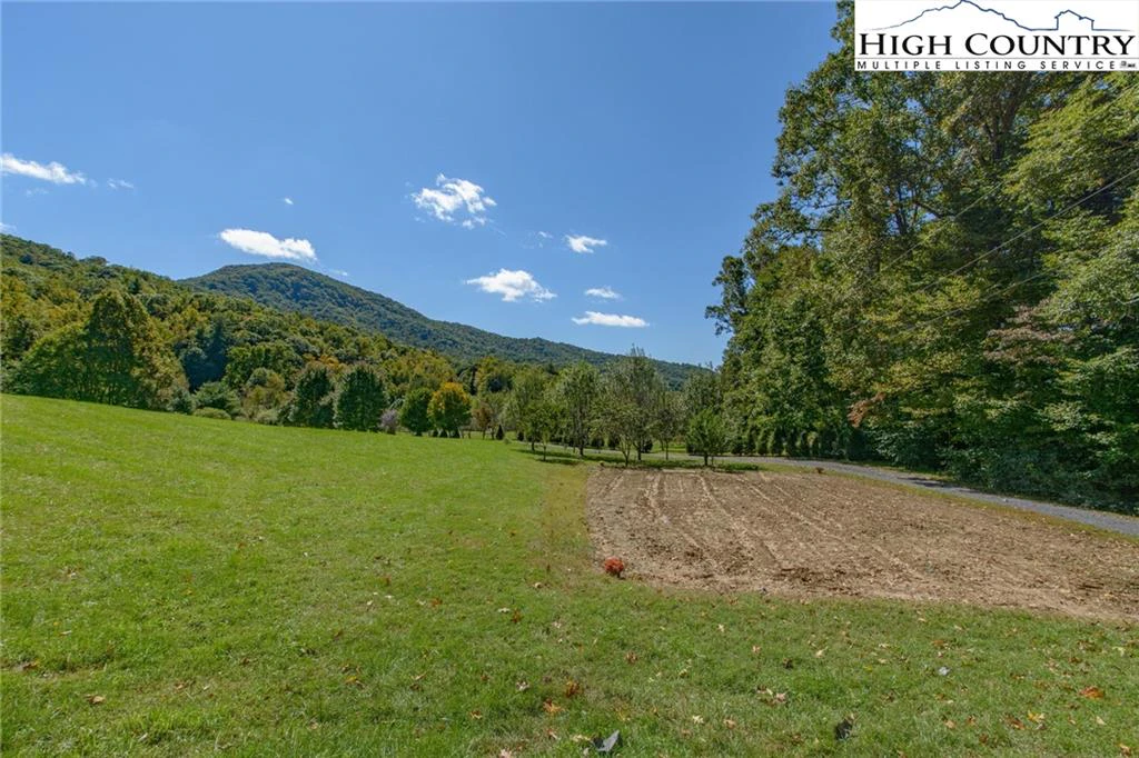 Image number 14 for the current listing