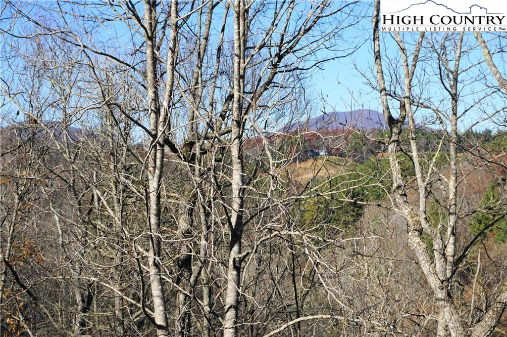 Image number 19 for the current listing