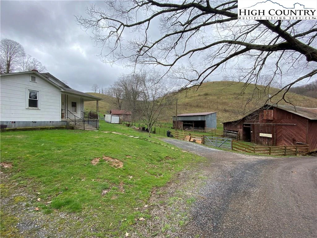 Image number 1 for the current listing
