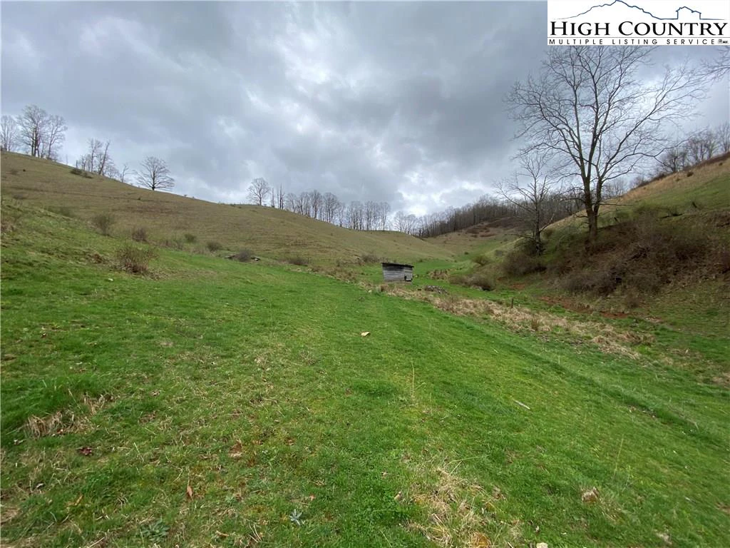 Image number 6 for the current listing