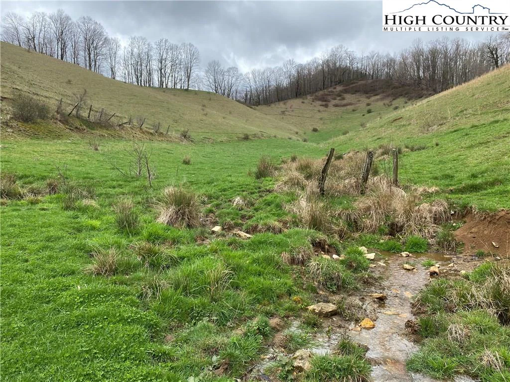 Image number 7 for the current listing