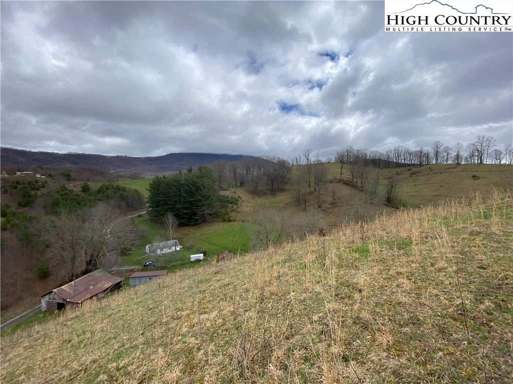 Image number 8 for the current listing