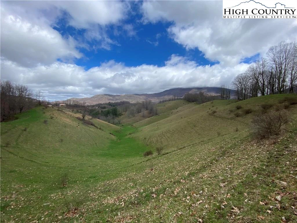 Image number 10 for the current listing
