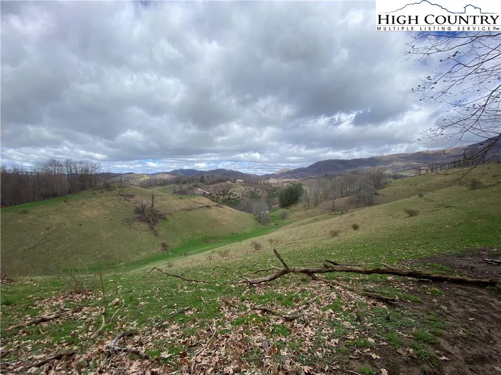 Image number 11 for the current listing