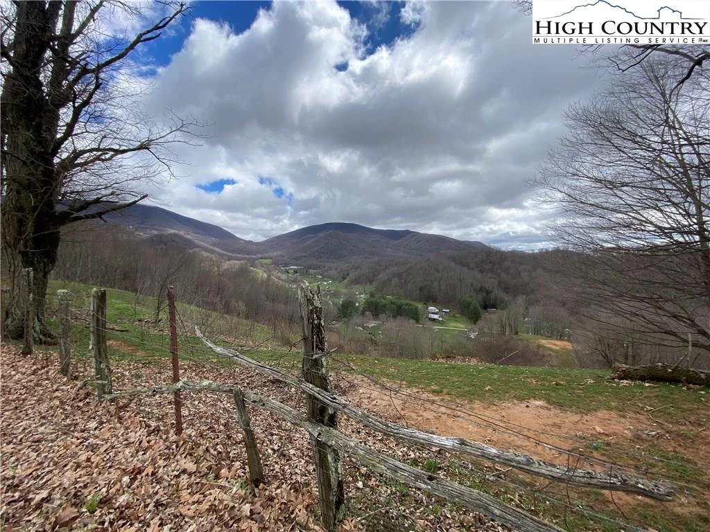 Image number 12 for the current listing