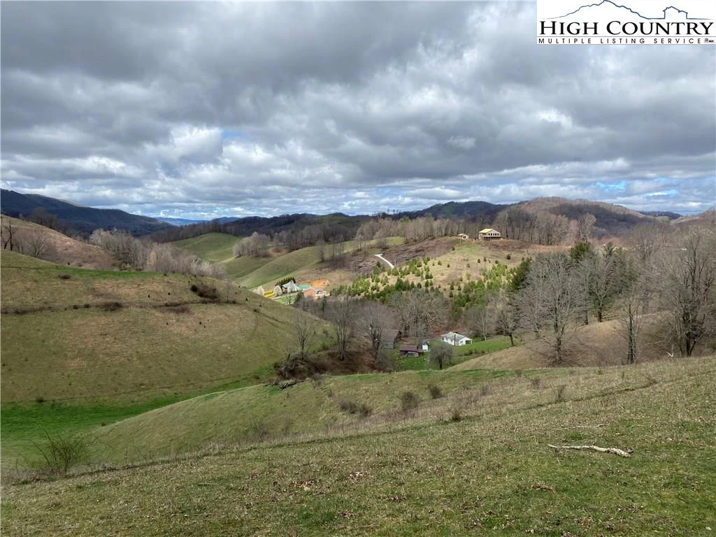 Image number 13 for the current listing