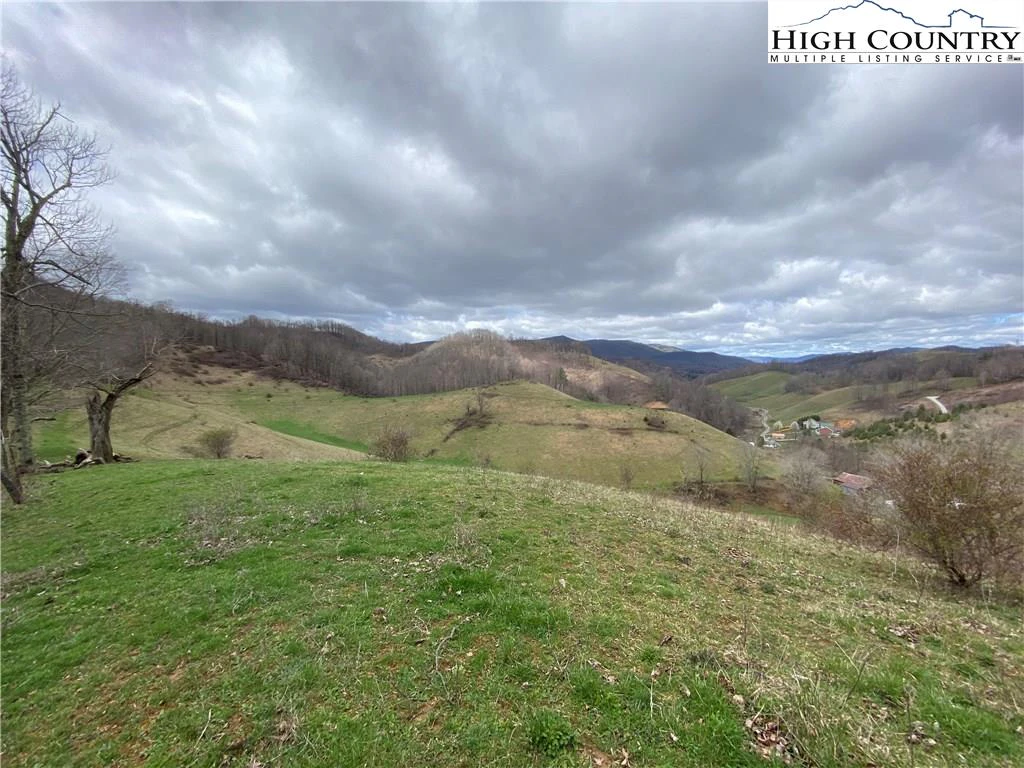 Image number 2 for the current listing