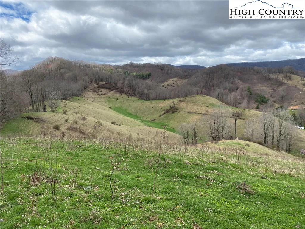 Image number 15 for the current listing