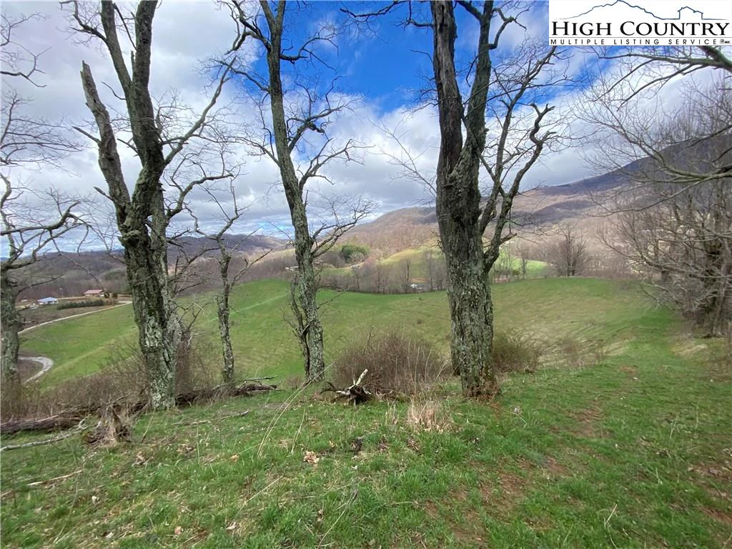 Image number 17 for the current listing