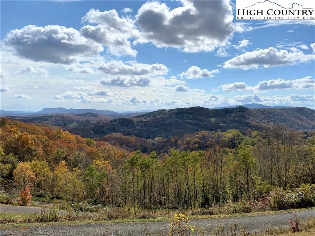Image number 1 for the current listing