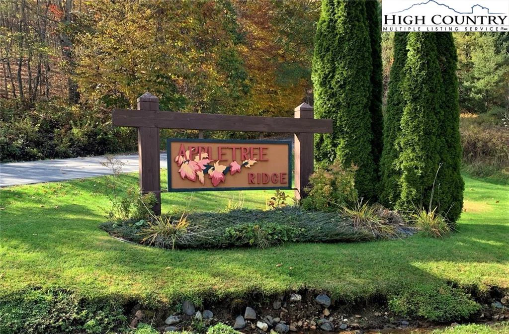 Image number 3 for the current listing