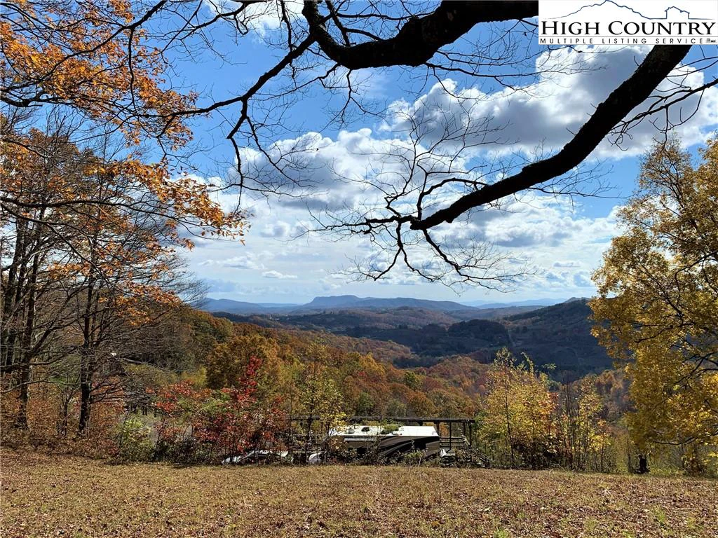 Image number 11 for the current listing
