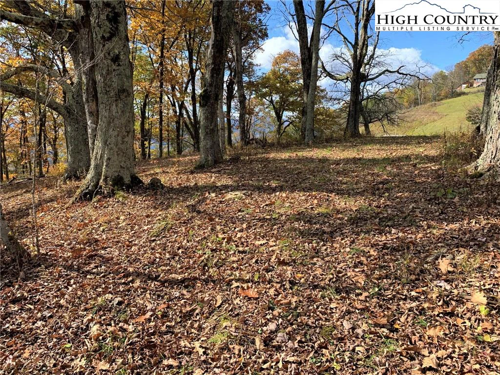 Image number 2 for the current listing