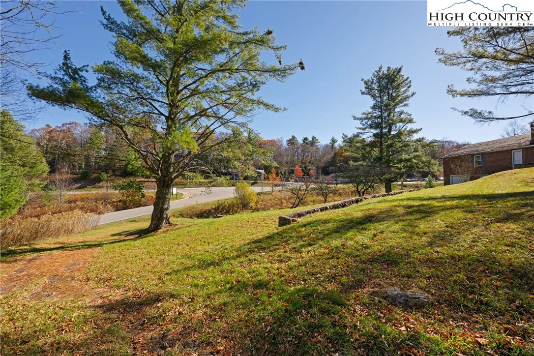 Image number 12 for the current listing