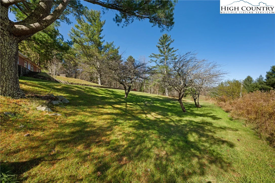 Image number 6 for the current listing