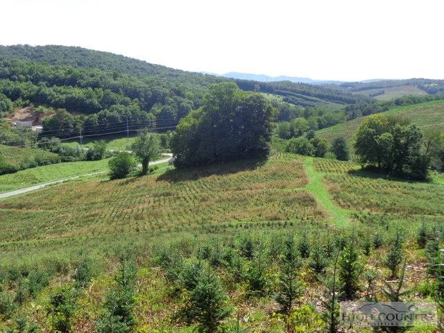 Image number 15 for the current listing