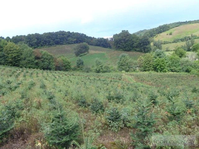 Image number 2 for the current listing