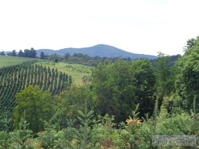 Image number 12 for the current listing