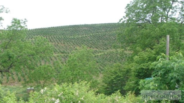 Image number 23 for the current listing