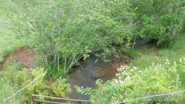 Image number 5 for the current listing