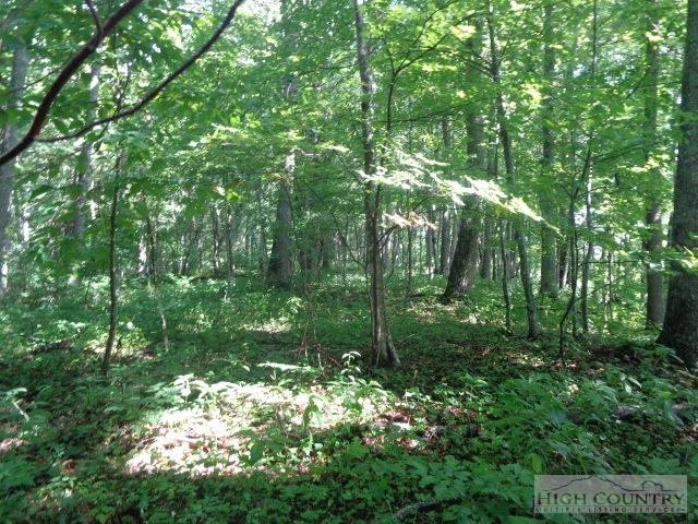 Image number 18 for the current listing