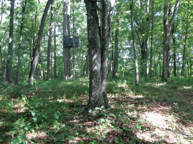 Image number 17 for the current listing