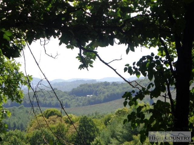 Image number 16 for the current listing