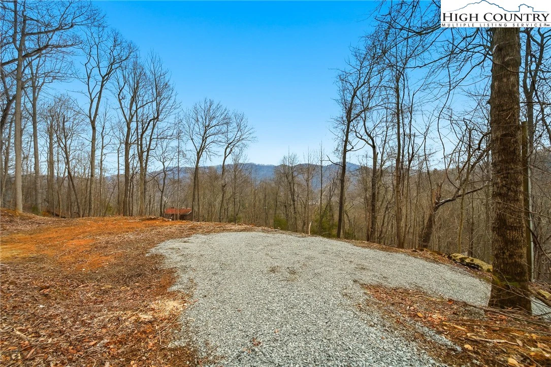Image number 15 for the current listing