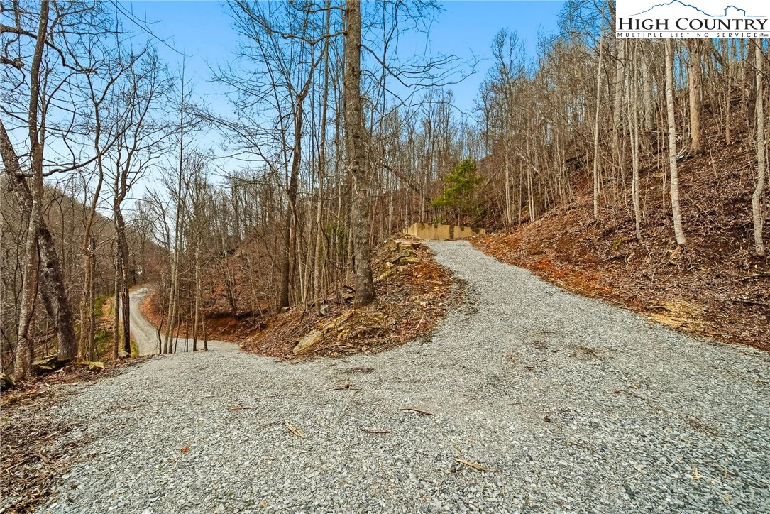 Image number 14 for the current listing