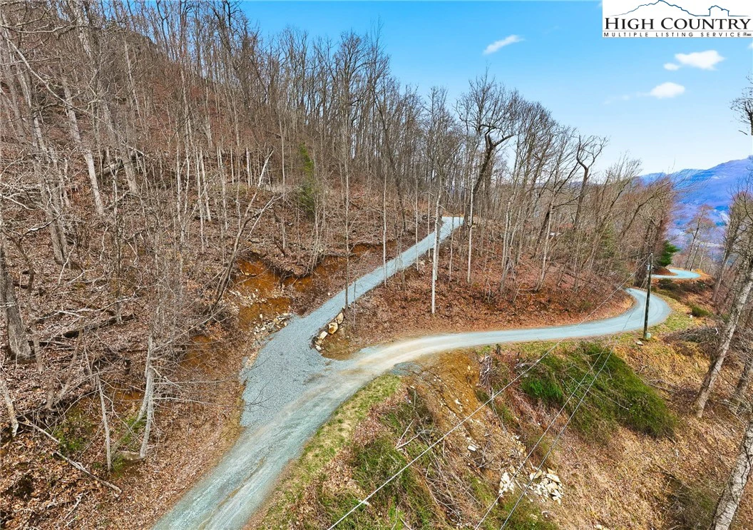 Image number 12 for the current listing