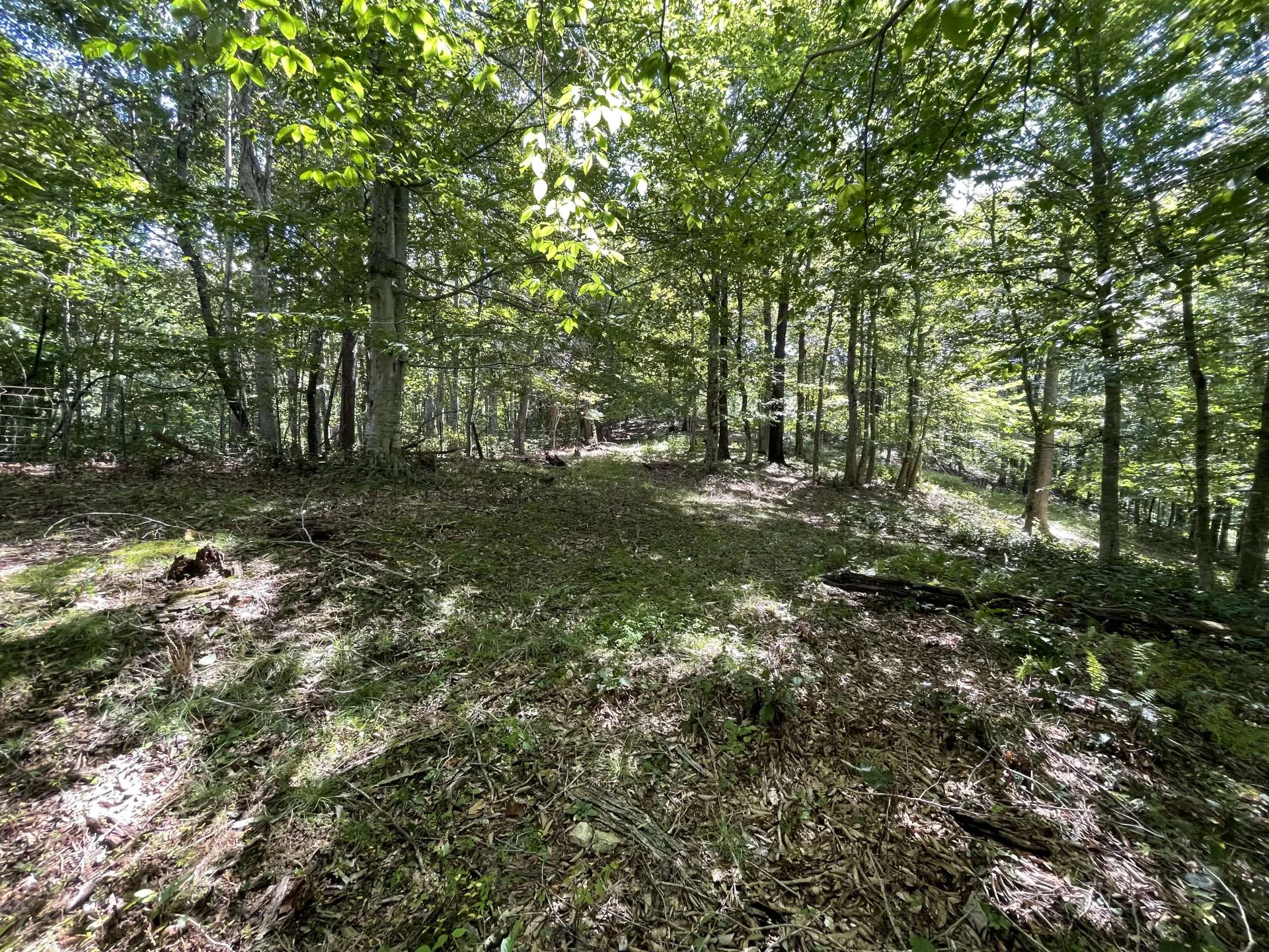 Image number 17 for the current listing