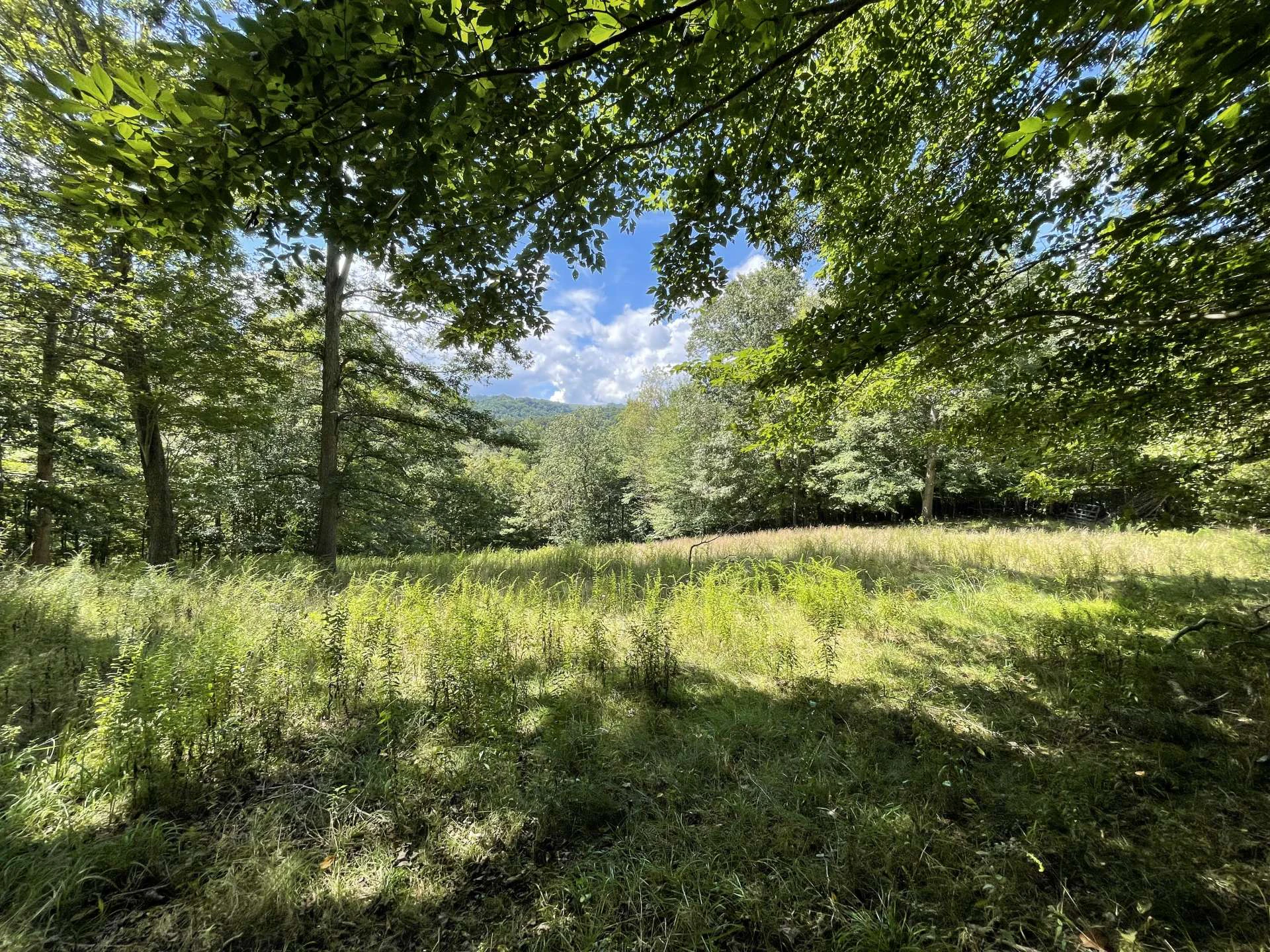 Image number 16 for the current listing
