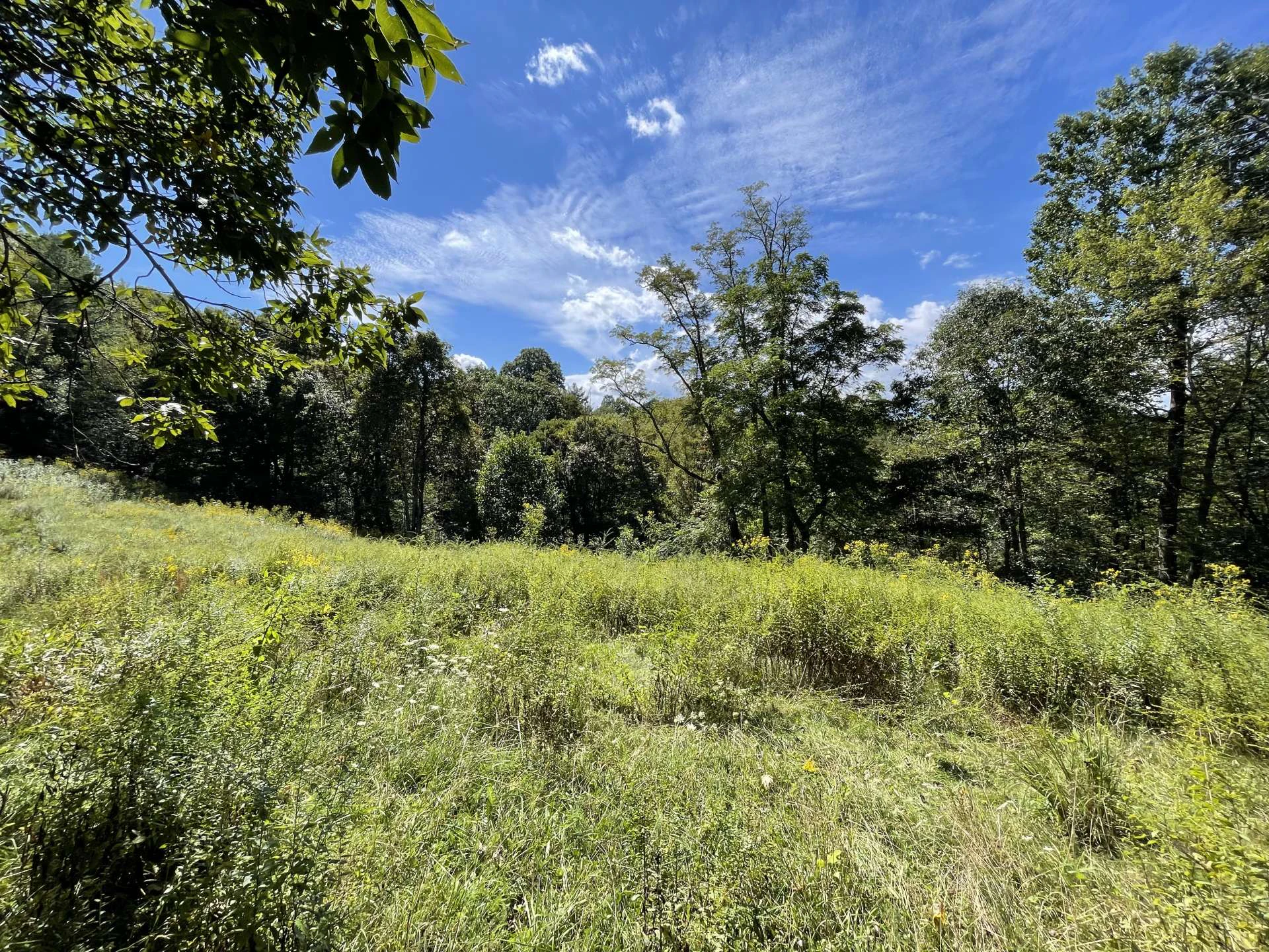 Image number 11 for the current listing