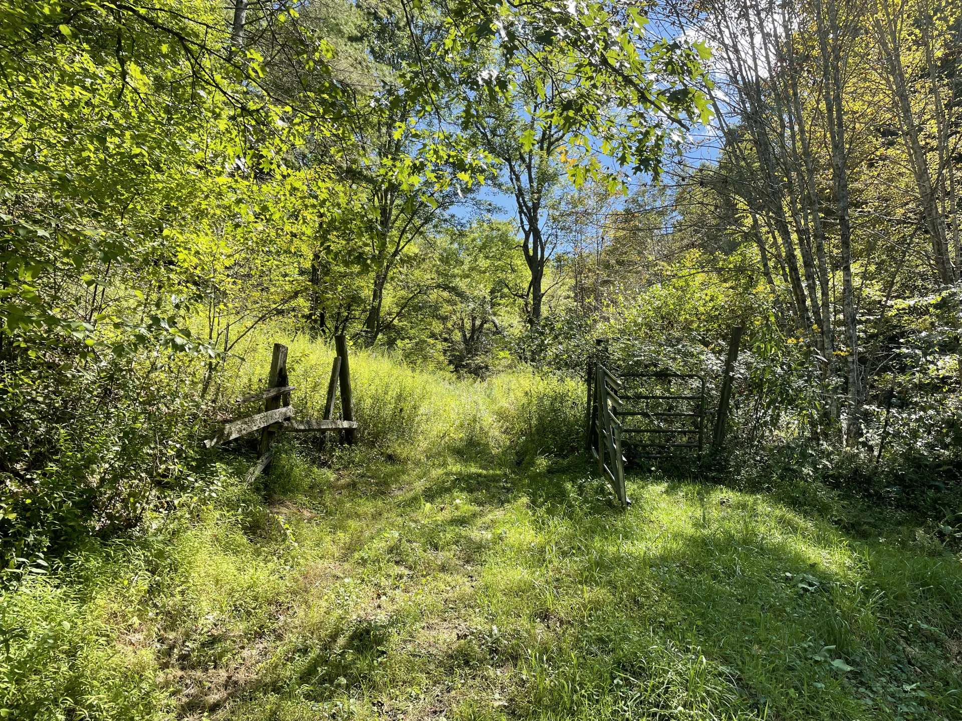 Image number 10 for the current listing