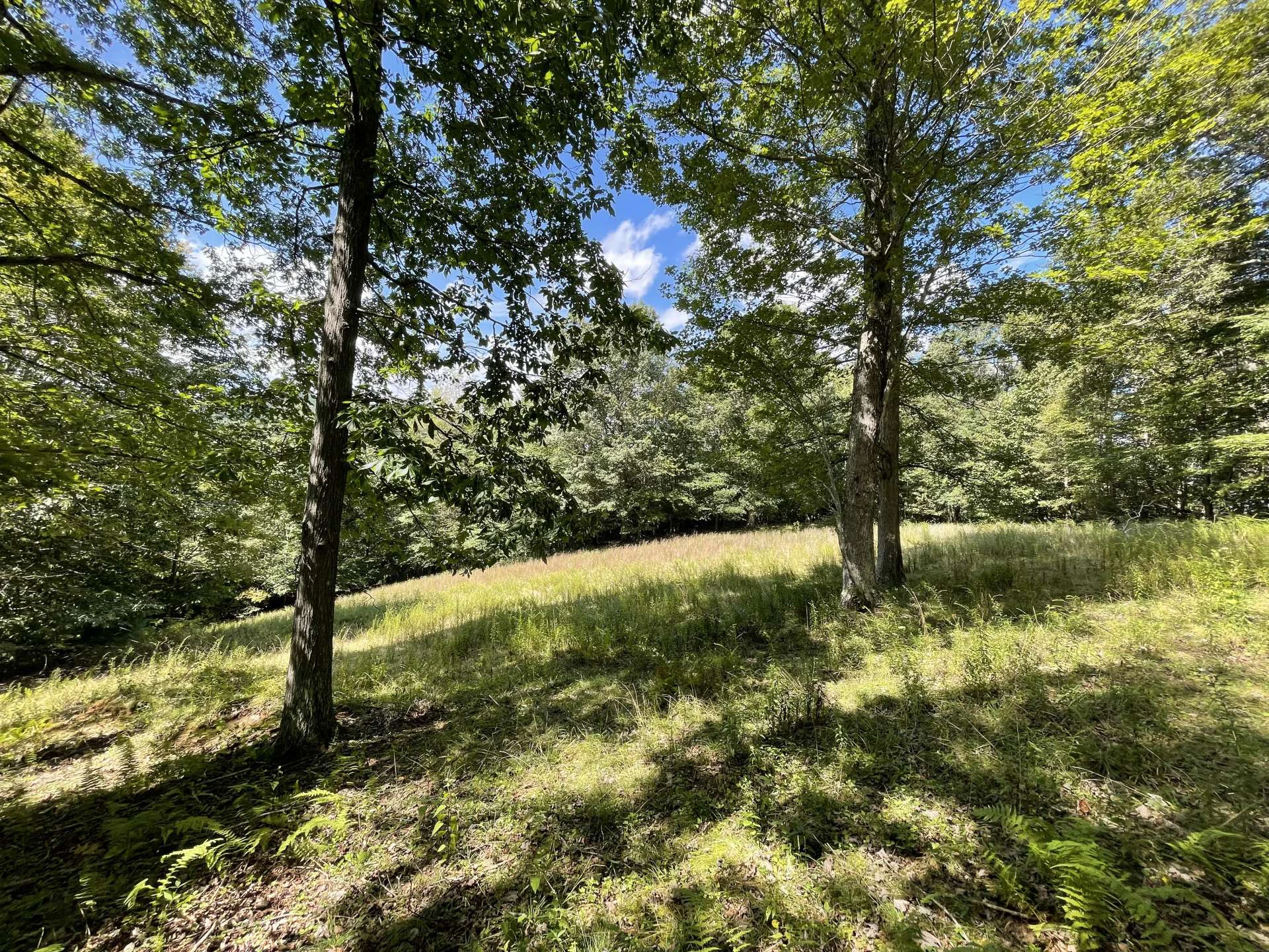 Image number 9 for the current listing